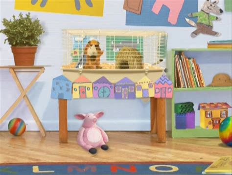 Pets Archive .